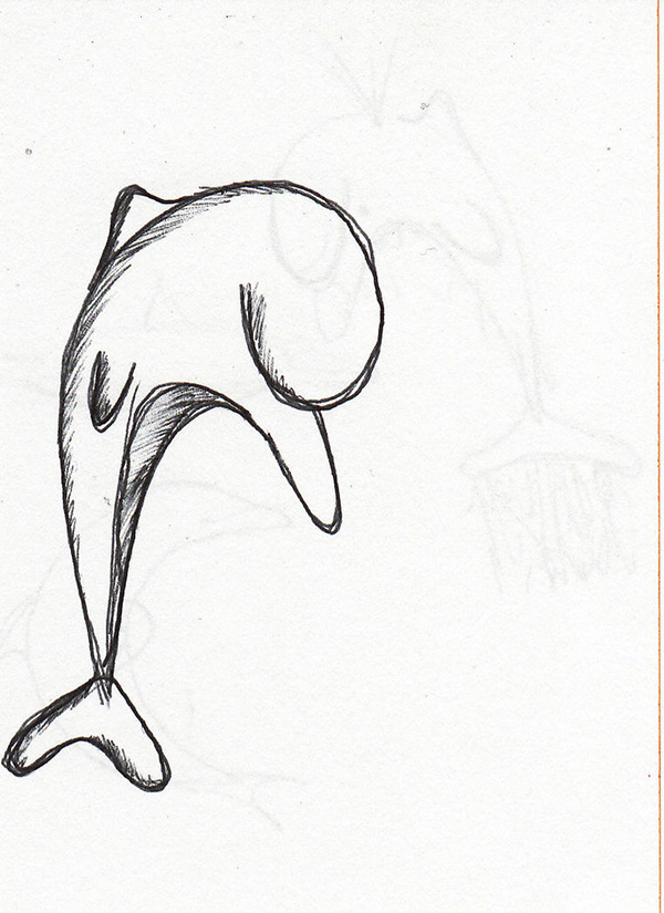 画卡通海豚教程图解 6: Flipper