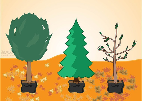 如何种植一棵树成活率高 种活一棵树步骤 3