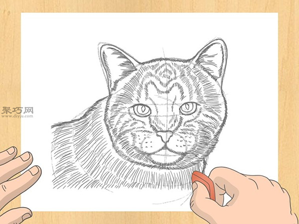 怎样画出一幅好画 铅笔素描猫的画法步骤 13