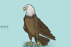 卡通老鷹的畫法 教你怎么畫老鷹