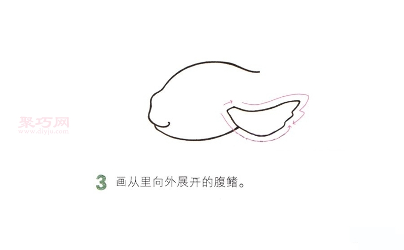 金魚畫法第3步