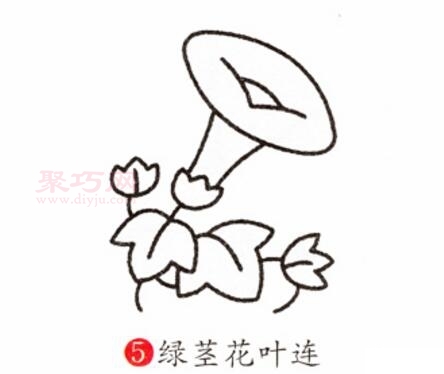 牽牛花畫(huà)法第5步