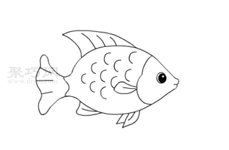 怎么画鱼儿最简单 来看鱼儿简笔画画法