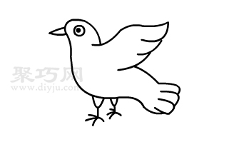 鴿子怎么畫簡單又漂亮 來看鴿子簡筆畫畫法