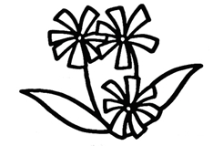 幼兒畫蘭花如何畫 來學蘭花簡筆畫步驟