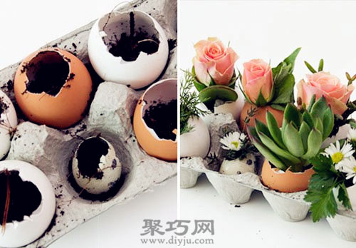 鸡蛋壳妙用 鸡蛋壳手工制作绿植小盆栽