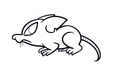 兒童簡筆畫鼠的畫法 教你怎樣畫鼠簡筆畫