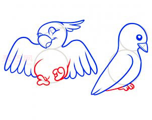 简易画鸟类的步骤 画鸟类的简笔画图片