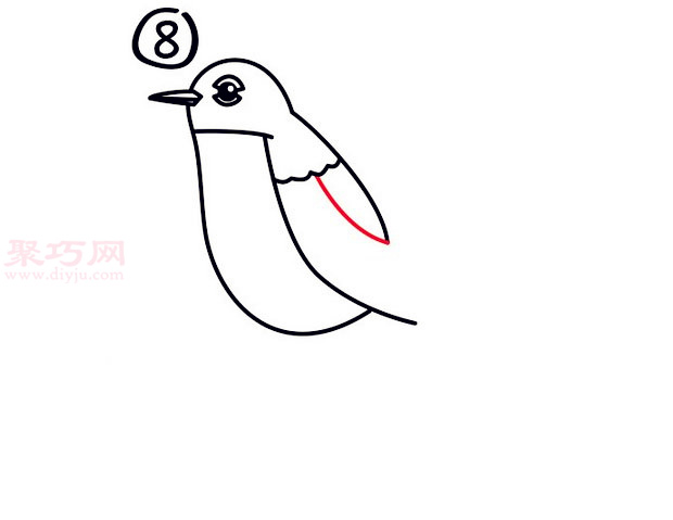 罗宾鸟简笔画第8步