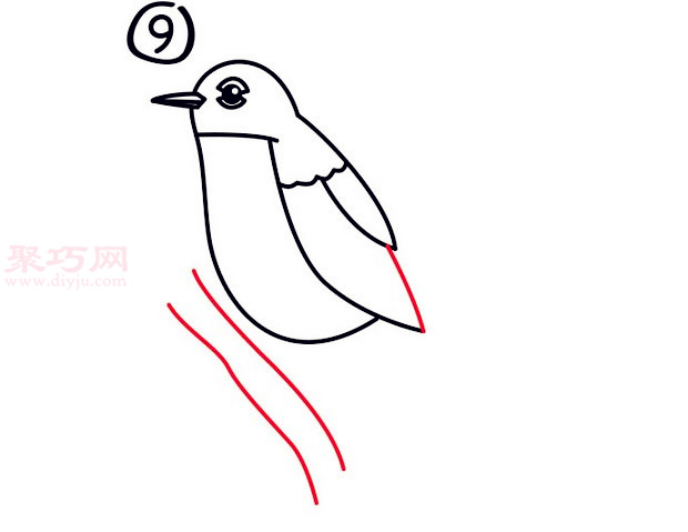 罗宾鸟简笔画第9步