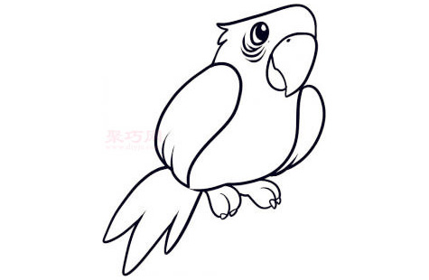 儿童简笔画鹦鹉的画法 教你如何画鹦鹉简笔画