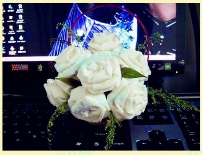 衛生紙玫瑰花的折法 如何用衛生紙折玫瑰花
