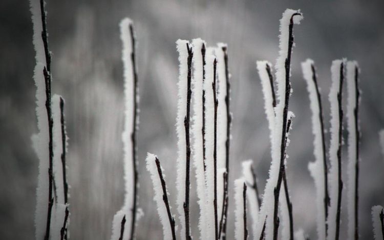 唯美立冬圖片大全 多張立冬節氣圖片分享
