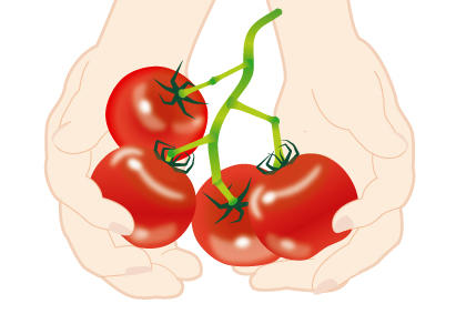 盆栽西红柿的日常管理 种植番茄技术