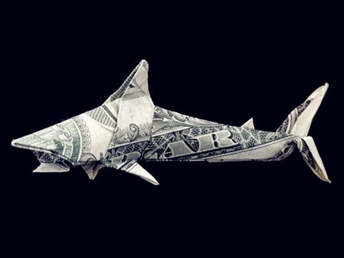 用钱折纸动物：鲨鱼