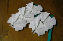 简单折纸蝴蝶兰方法图解 折纸蝴蝶兰花