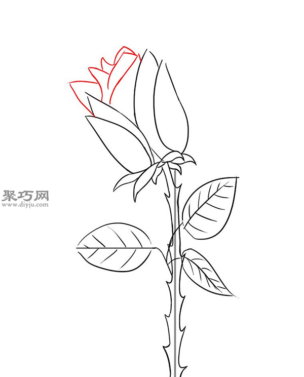 用铅笔画玫瑰花的简笔画步骤 10