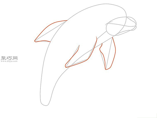 传统形象的海豚的画法步骤 5