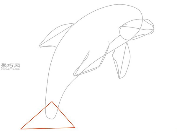 传统形象的海豚的画法步骤 6