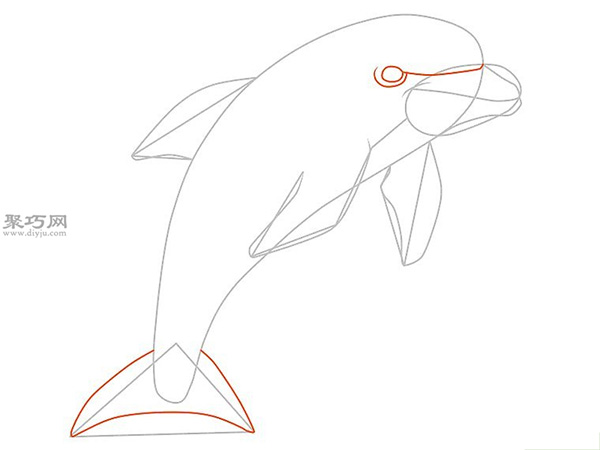 传统形象的海豚的画法步骤 7