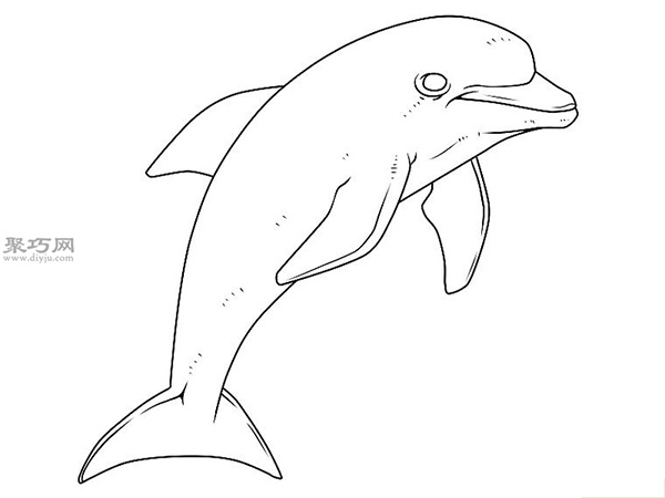 传统形象的海豚的画法步骤 8