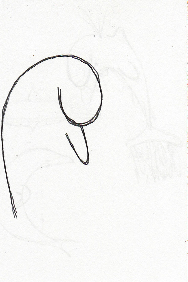 画卡通海豚教程图解 2: Beak