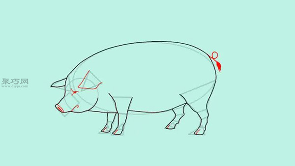 猪的画法步骤