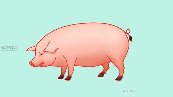 猪的画法步骤 教你怎么画逼真的猪简笔画