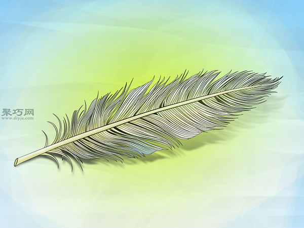 逼真的羽毛的画法步骤 教你怎么画羽毛更真实