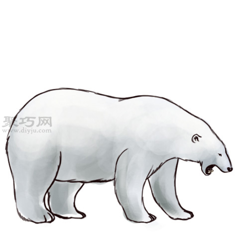 北极熊怎么画更真实 北极熊简笔画的画法