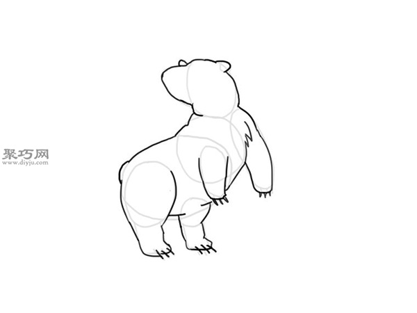 可爱的卡通北极熊怎么画 6
