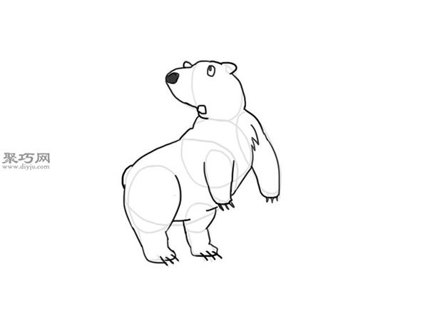 可爱的卡通北极熊怎么画 7
