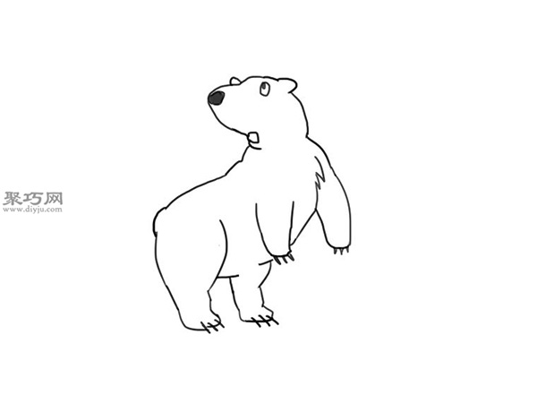 可爱的卡通北极熊怎么画 8