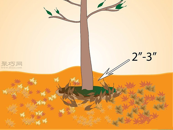 如何种植一棵树成活率高 种活一棵树步骤 11