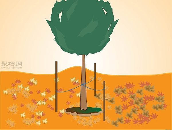 如何种植一棵树成活率高 种活一棵树步骤 13
