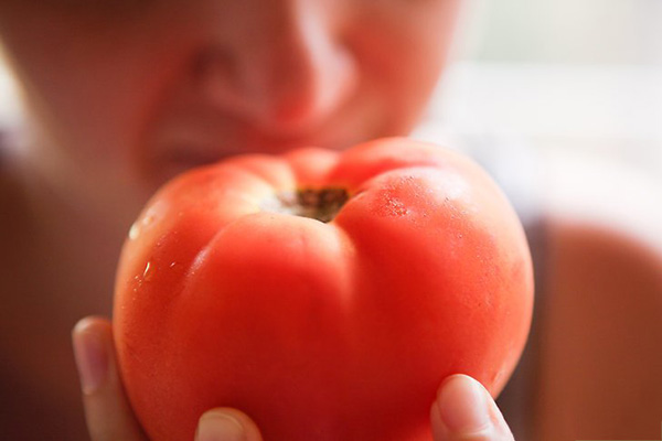 番茄怎么采摘 番茄采摘时必须注意的问题