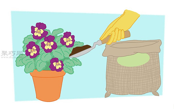 蝴蝶花的养殖方法 教你蝴蝶花怎么种植 5