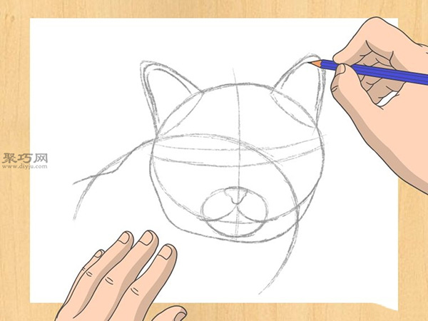 怎样画出一幅好画 铅笔素描猫的画法步骤 10