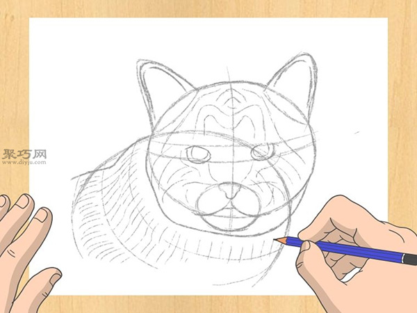 怎样画出一幅好画 铅笔素描猫的画法步骤 11
