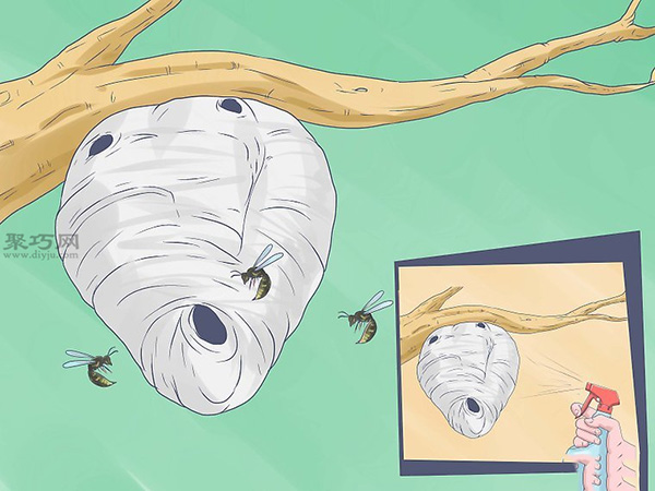 消灭胡蜂的好方法 教你怎样消灭黄胡蜂 6