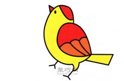 儿童简笔画教程一步一步教你美丽的黄鹂鸟怎么画