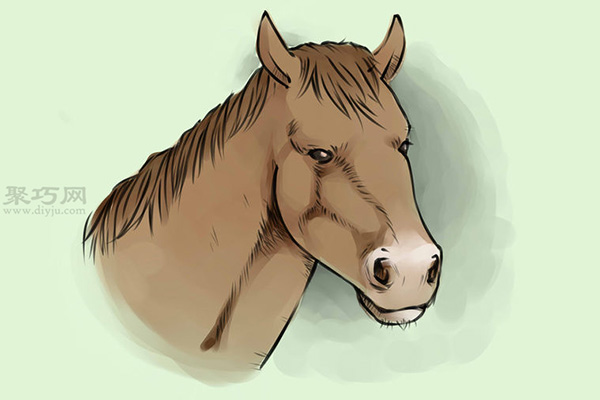写实风格马头部画法步骤 来看怎样画马