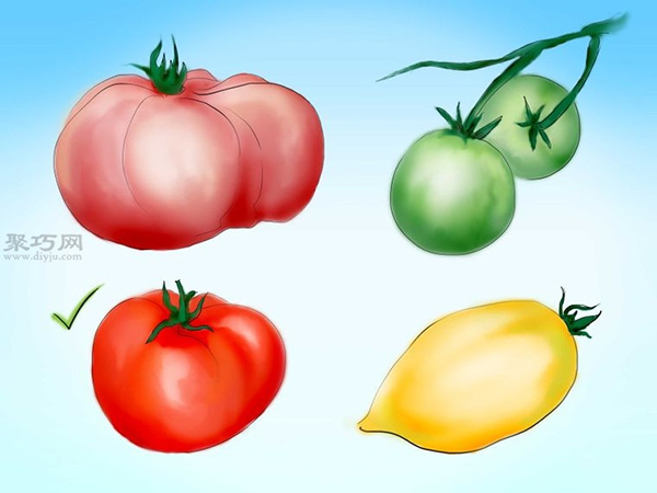 用种子种植番茄步骤 2