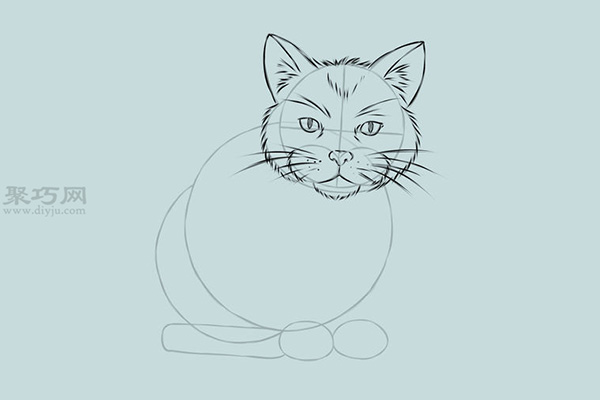 画一只写实的猫画法步骤 12