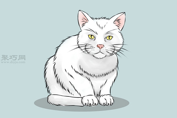 画一只写实的猫画法步骤 一起学如何画猫