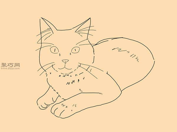 休息的猫的画法 6