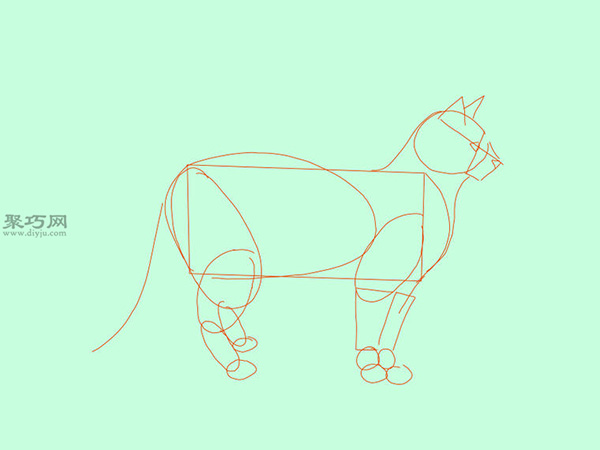 画站着的猫的侧视图的步骤教你画猫画法