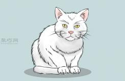 画一只写实的猫画法步骤 一起学如何画猫