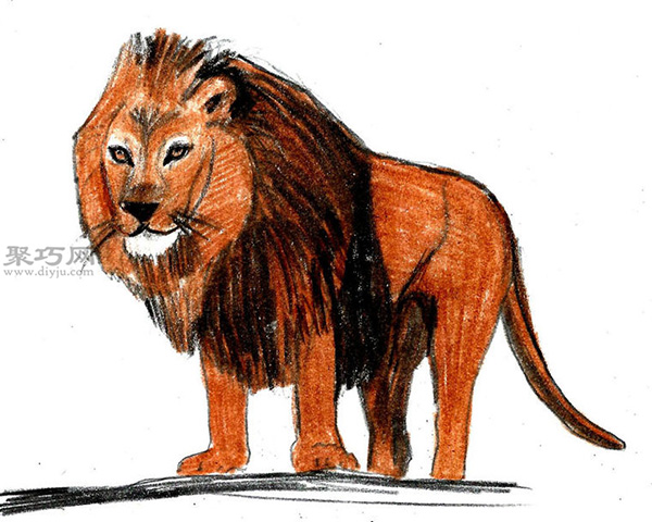 素描法画狮子画法步骤 来看画狮子画法步骤