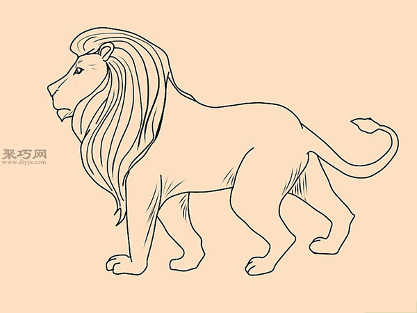 狮子尾巴画法图片